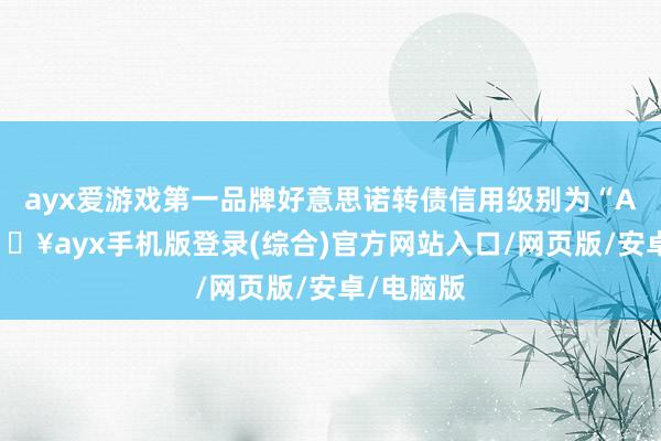 ayx爱游戏第一品牌好意思诺转债信用级别为“AA-”-🔥ayx手机版登录(综合)官方网站入口/网页版/安卓/电脑版