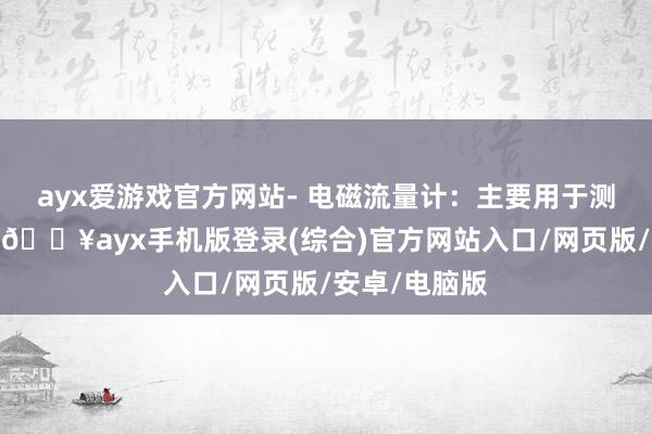 ayx爱游戏官方网站- 电磁流量计：主要用于测量导电液体-🔥ayx手机版登录(综合)官方网站入口/网页版/安卓/电脑版