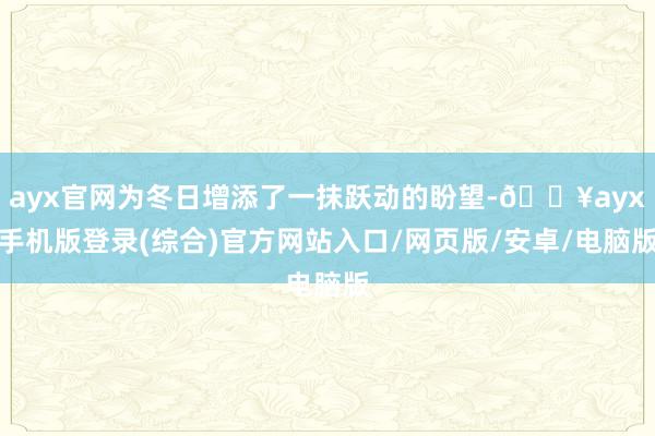 ayx官网为冬日增添了一抹跃动的盼望-🔥ayx手机版登录(综合)官方网站入口/网页版/安卓/电脑版